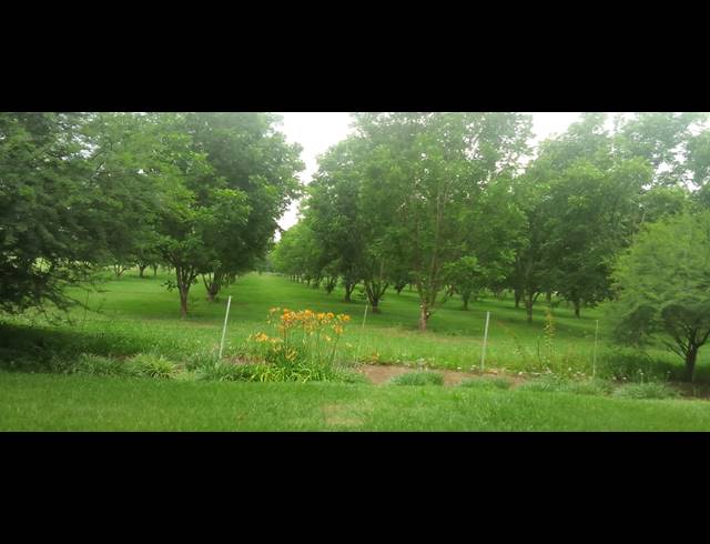 8HA FARM FOR SALE IN WEENEN